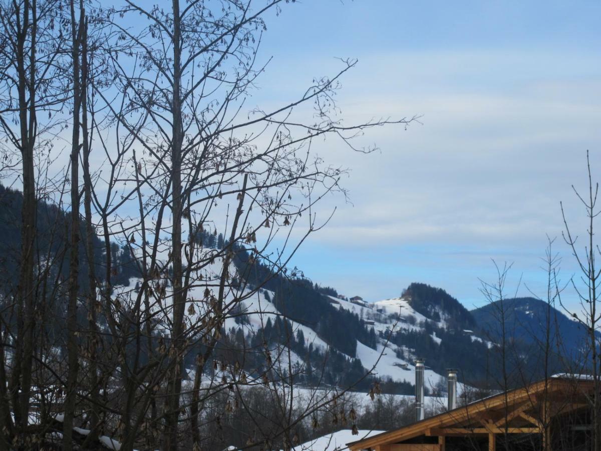 Landhaus Erharter Kitzbühel Exteriör bild
